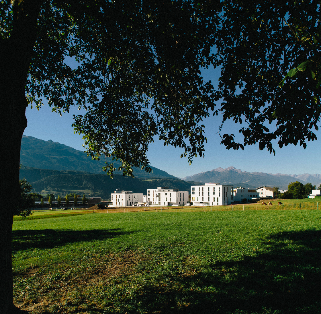 Ein Foto von Mojo Reitter