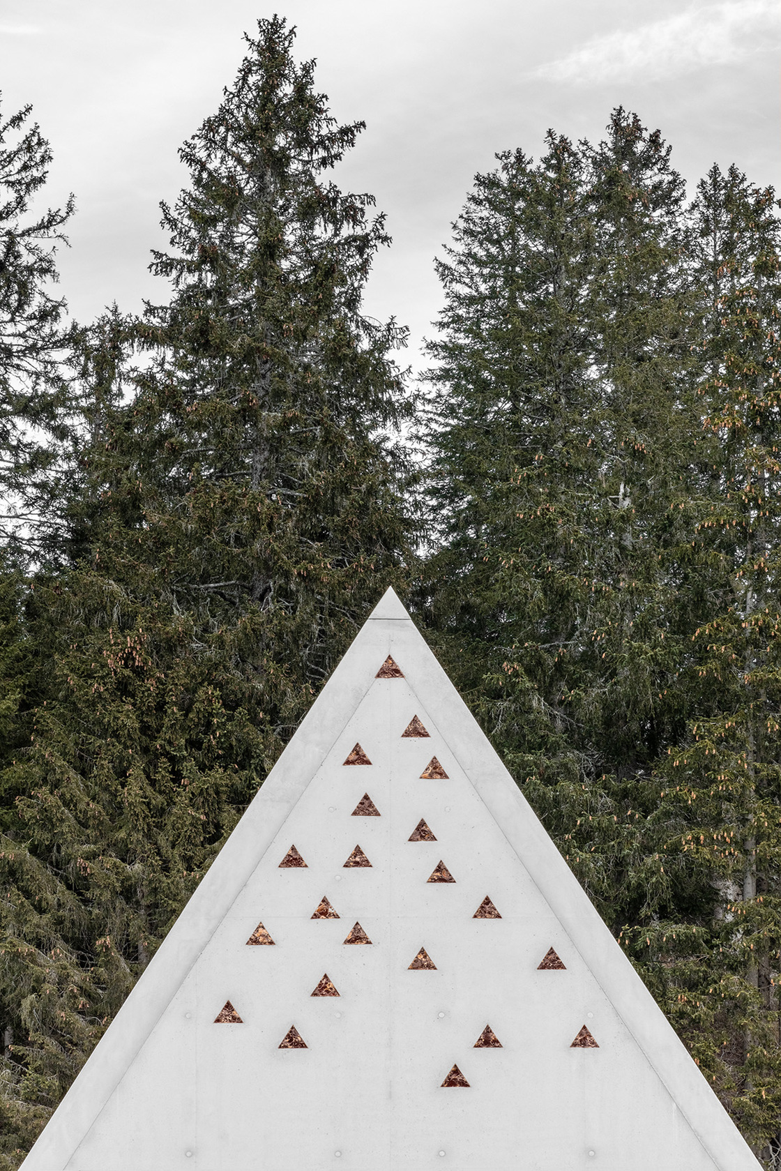 Ein Foto von Gustav Willeit