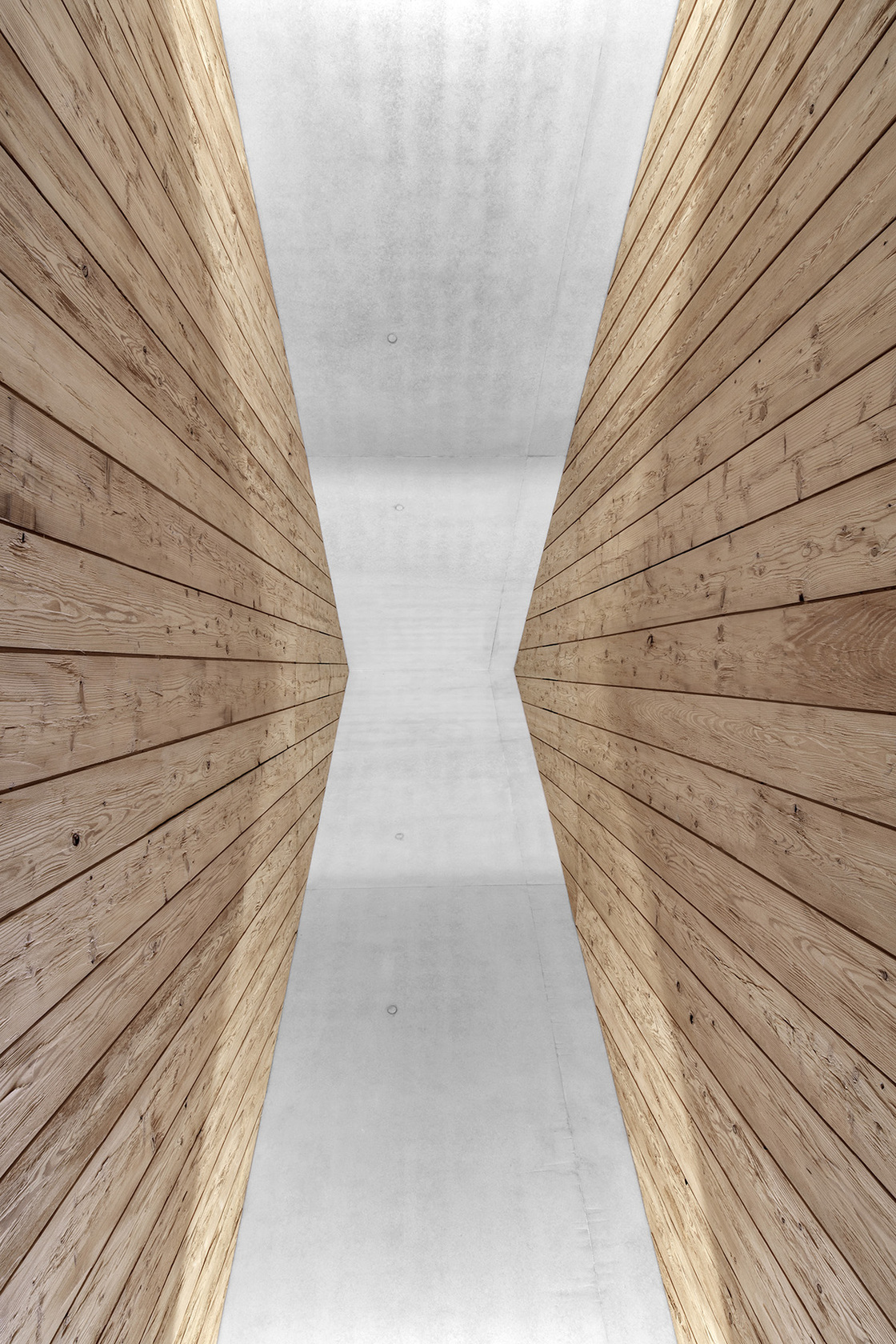 Ein Foto von Gustav Willeit