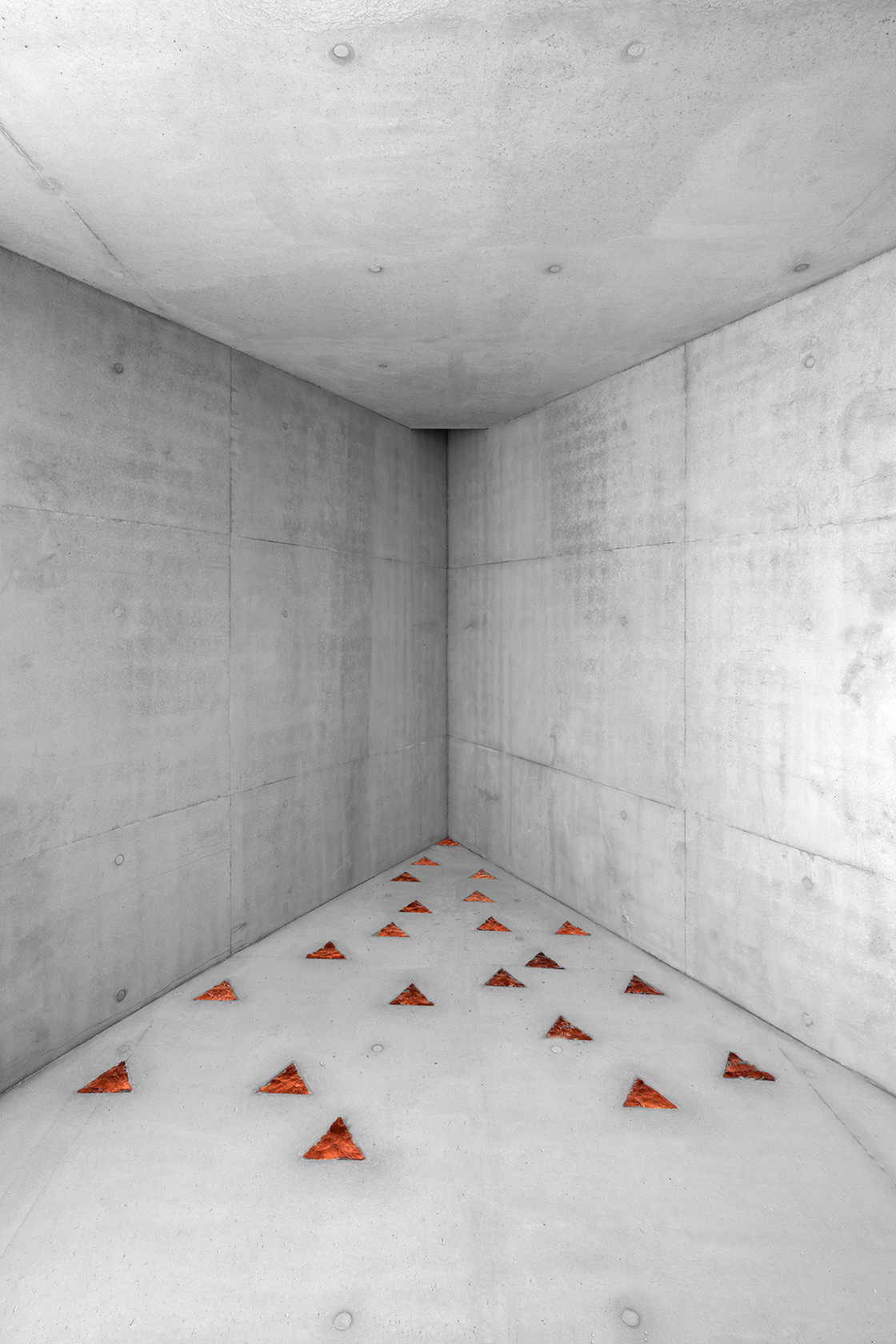 Ein Foto von Gustav Willeit