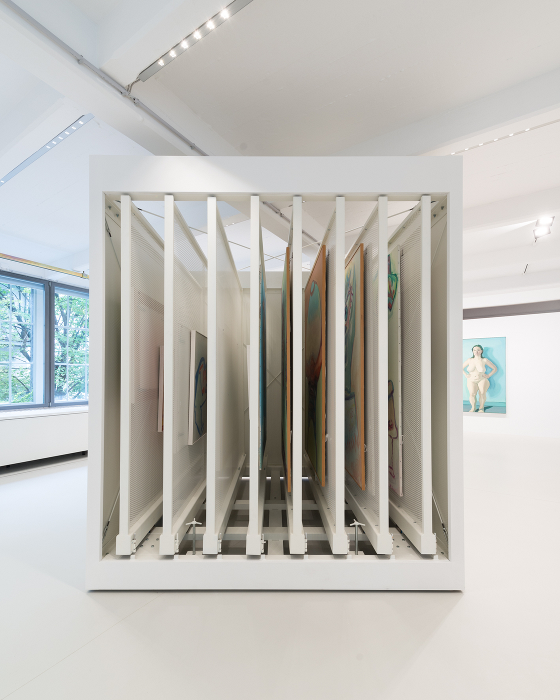 Ein Foto von Lukas Schaller