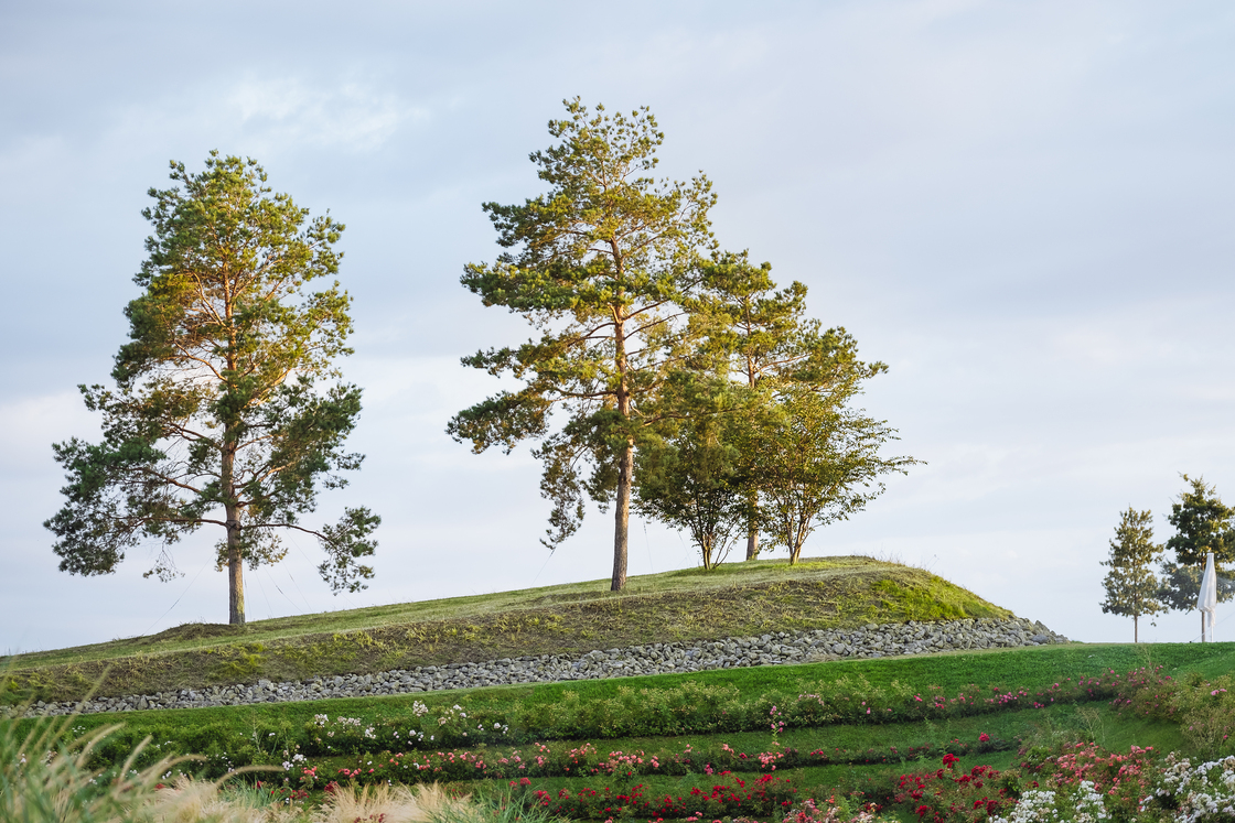 Ein Foto von Nikolai Benner