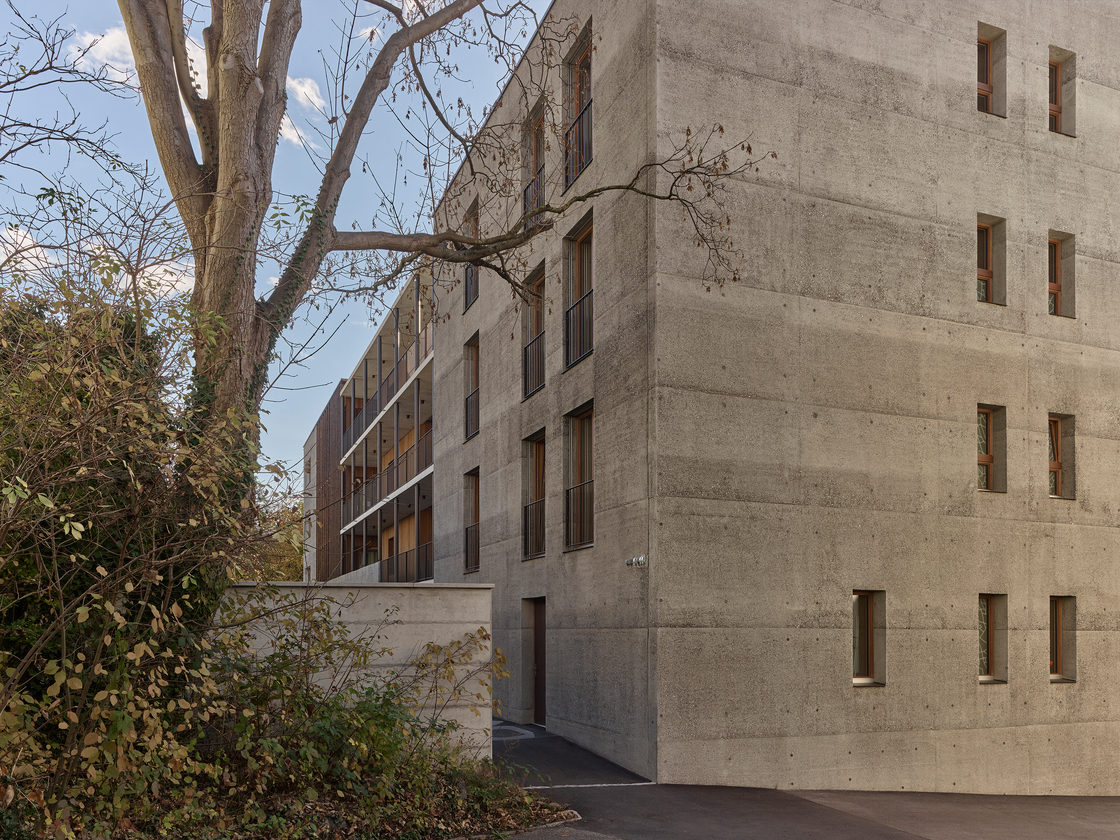 Ein Foto von Carolina Piasecki