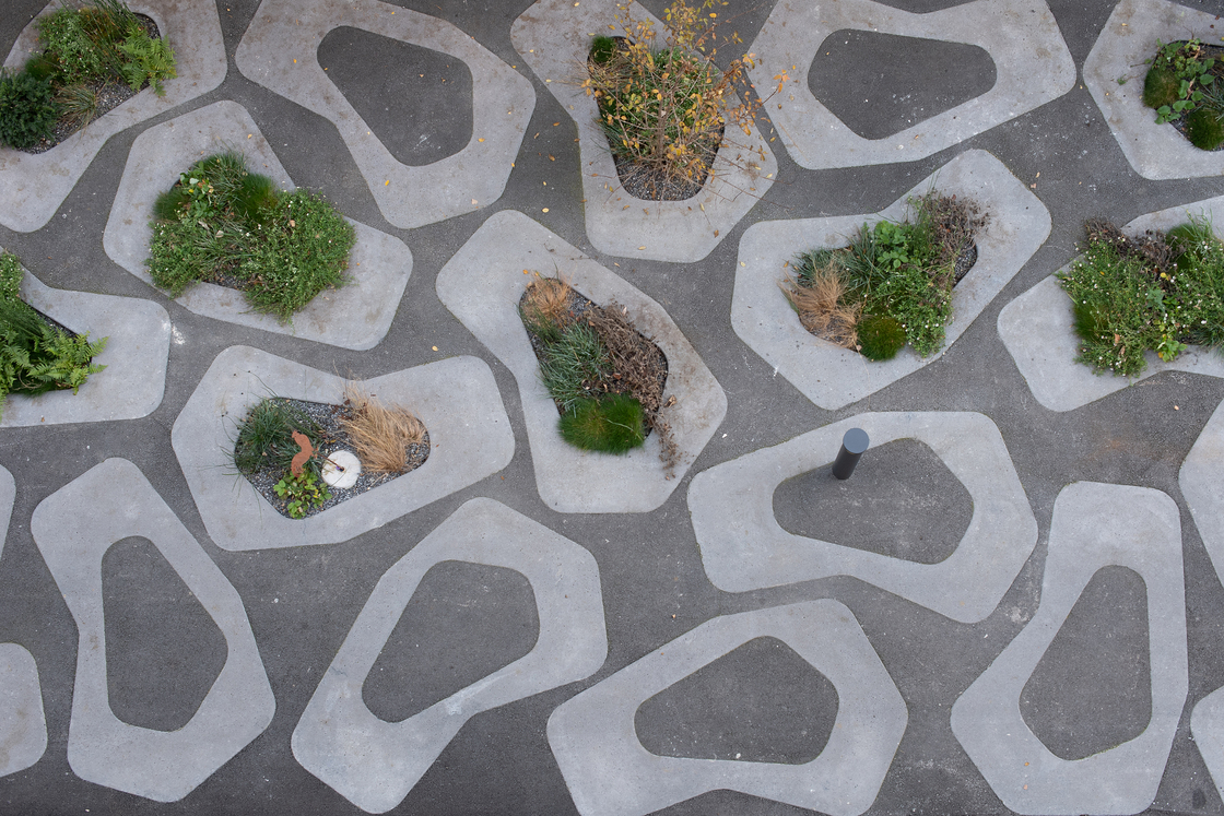 Ein Foto von Carolina Piasecki