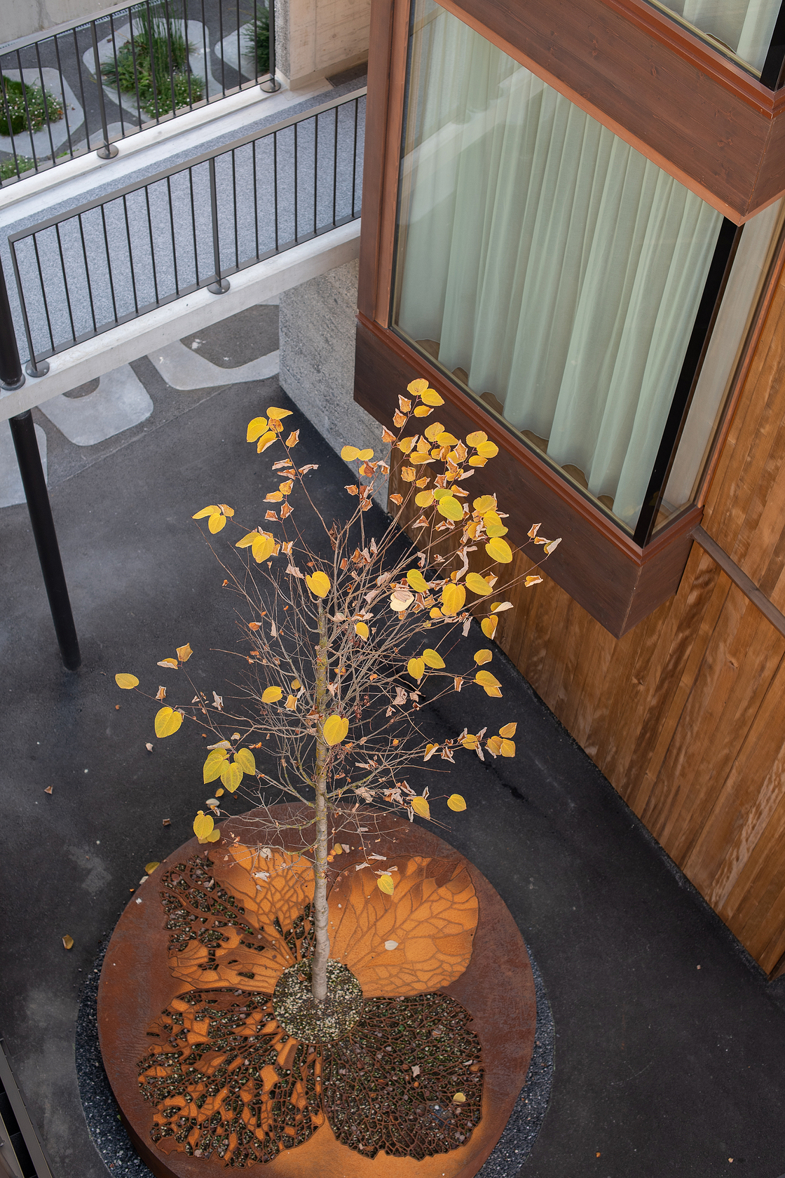 Ein Foto von Carolina Piasecki