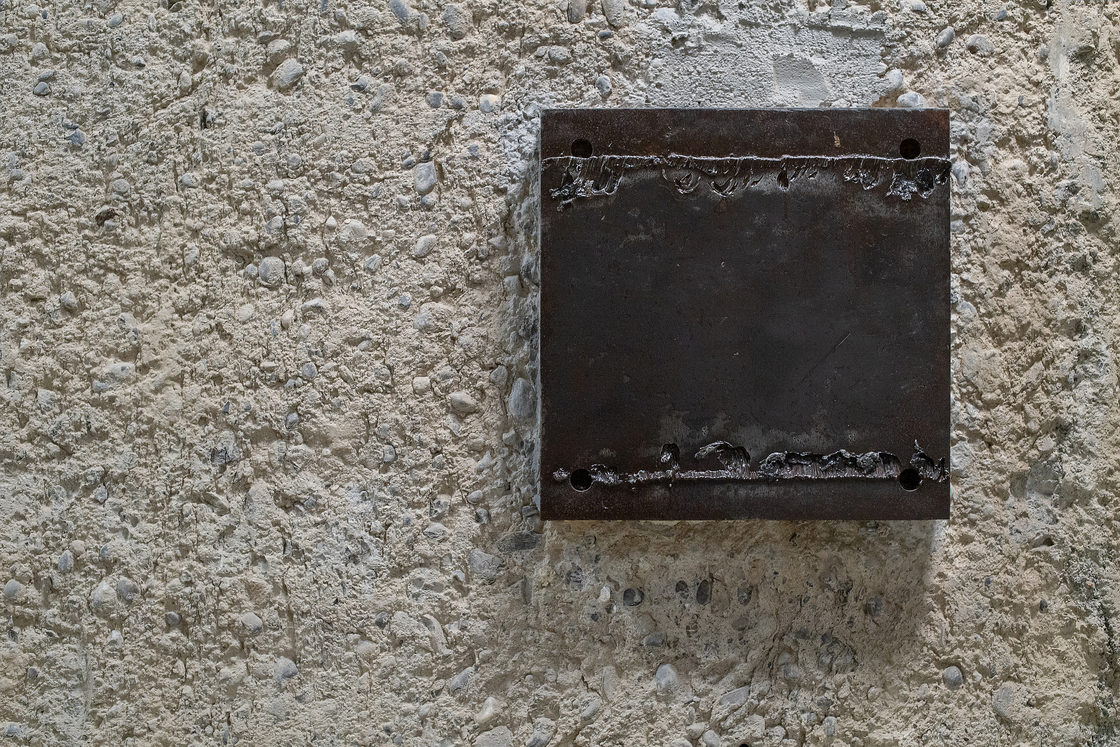 Ein Foto von Carolina Piasecki