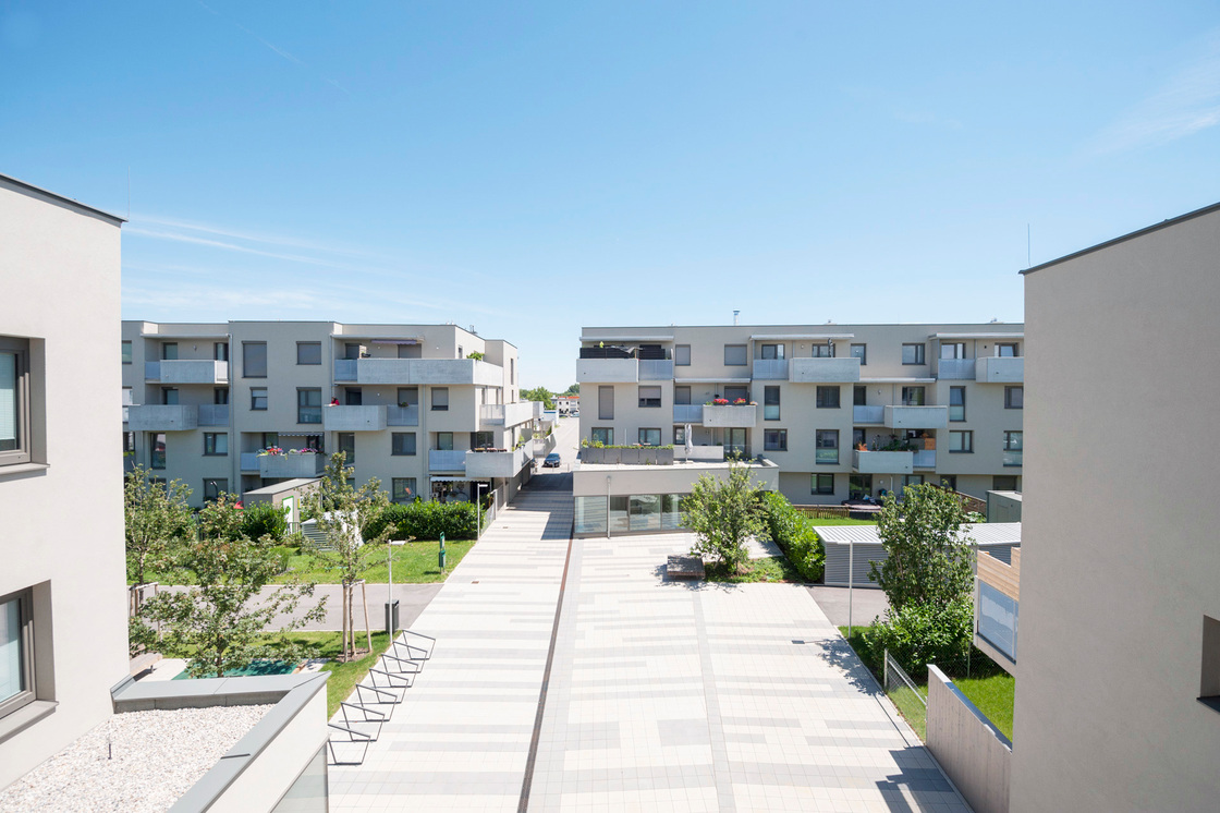 Ein Foto von zweischrittweiter.at