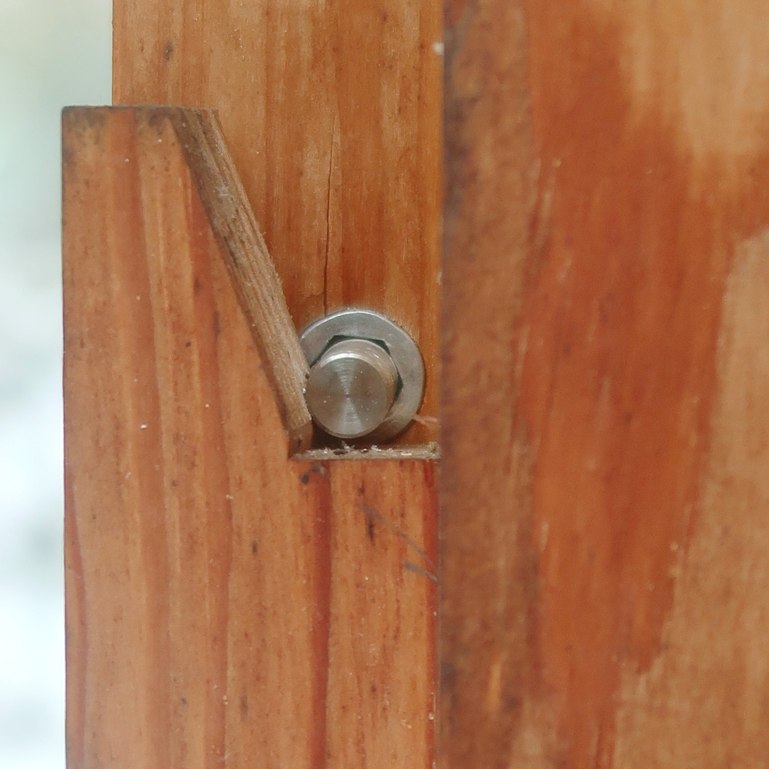 Ein Foto von Walter Kräutler