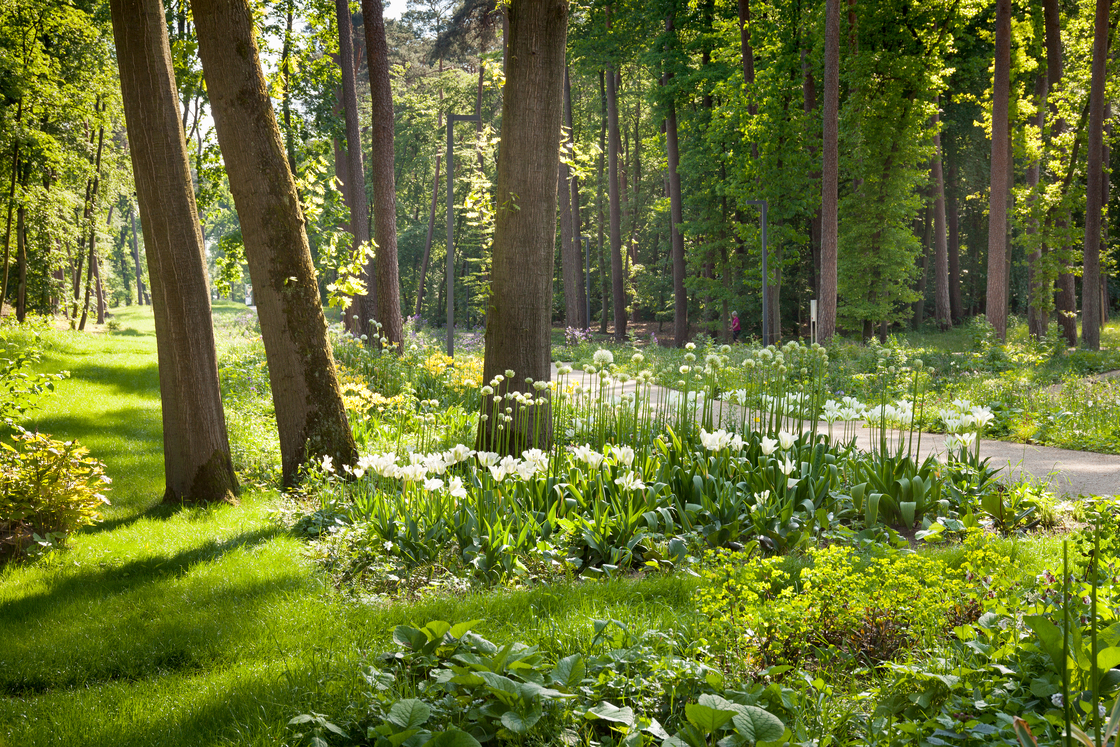 Ein Foto von SINAI Gesellschaft von Landschaftsarchitekten mbH