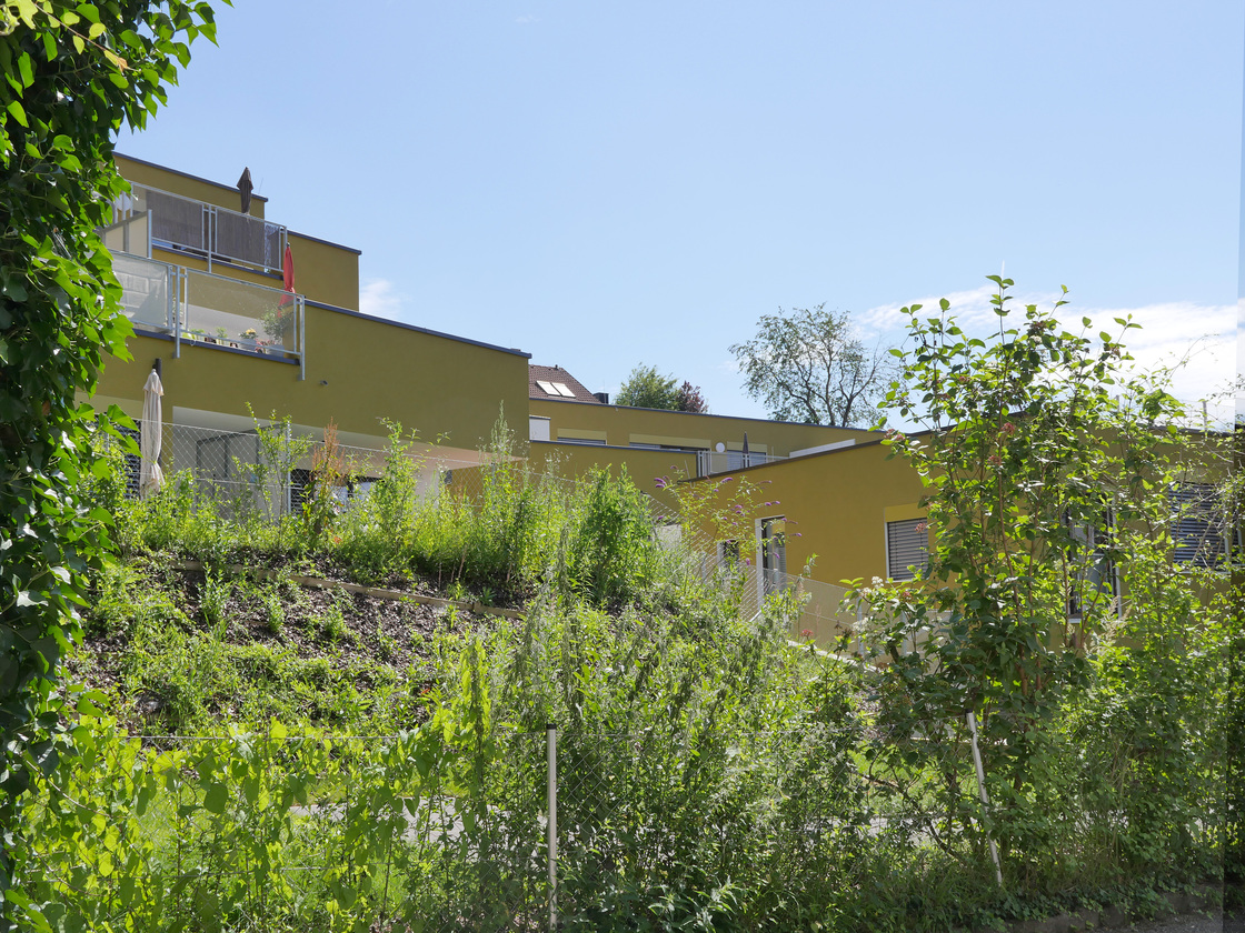 Ein Foto von Caramel