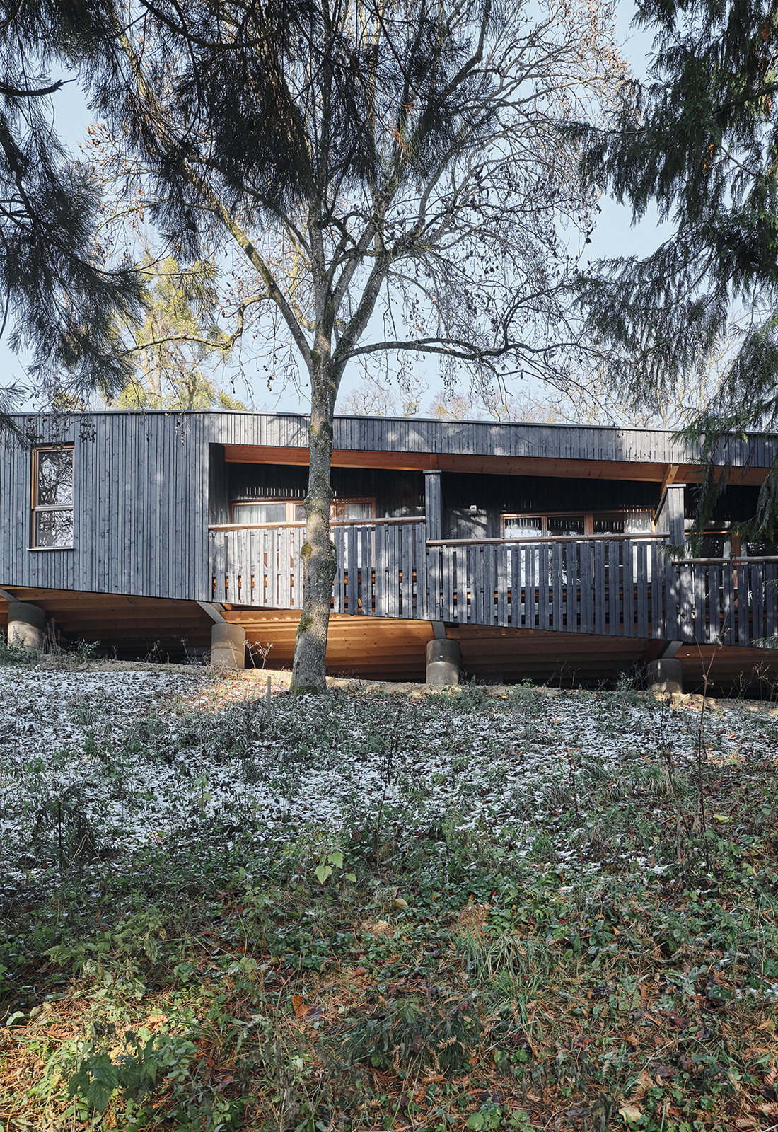 Ein Foto von David Schreyer