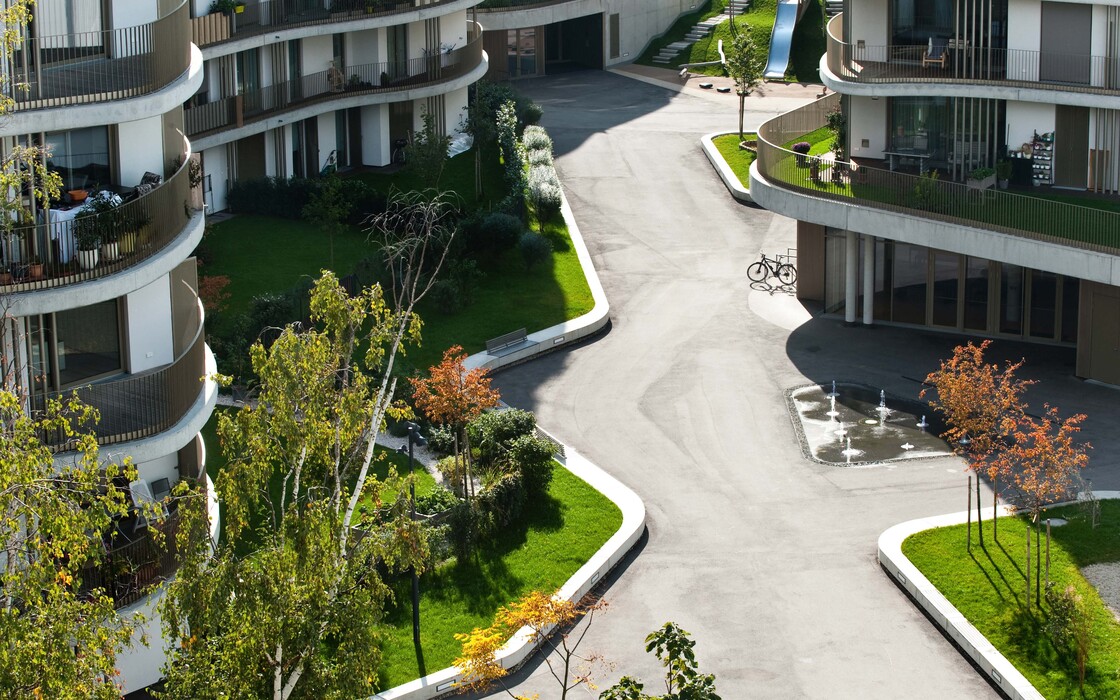 Ein Foto von Alexander Chitsazan