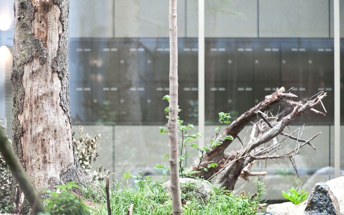 Ein Foto von Alexander Chitsazan