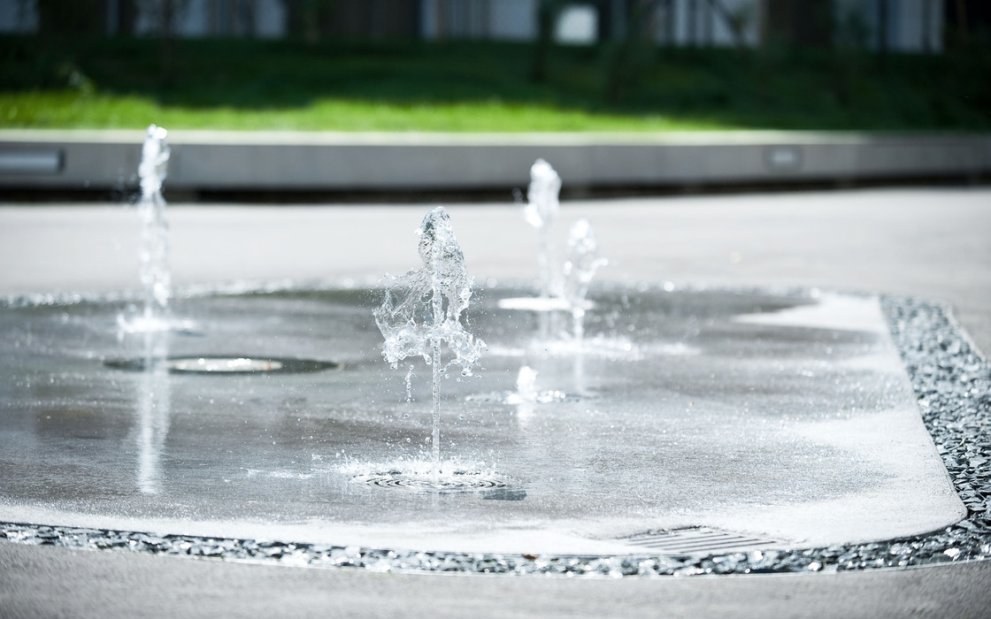 Ein Foto von Alexander Chitsazan