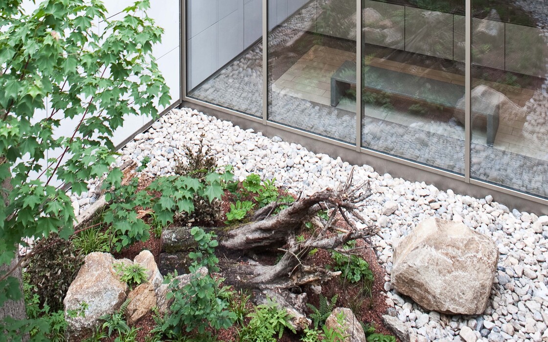 Ein Foto von Alexander Chitsazan