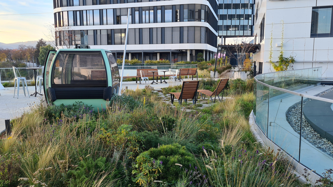 Ein Foto von Monsberger Gartenarchitektur