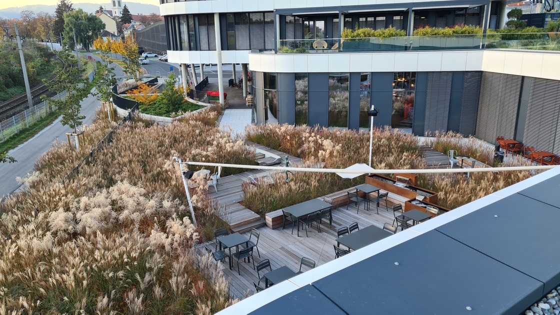 Ein Foto von Monsberger Gartenarchitektur