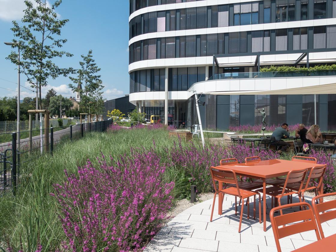 Ein Foto von Monsberger Gartenarchitektur