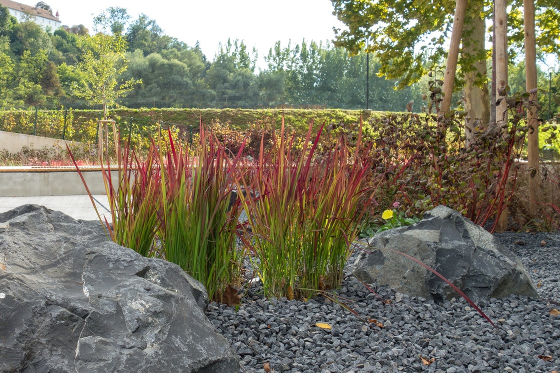 Ein Foto von Monsberger Gartenarchitektur