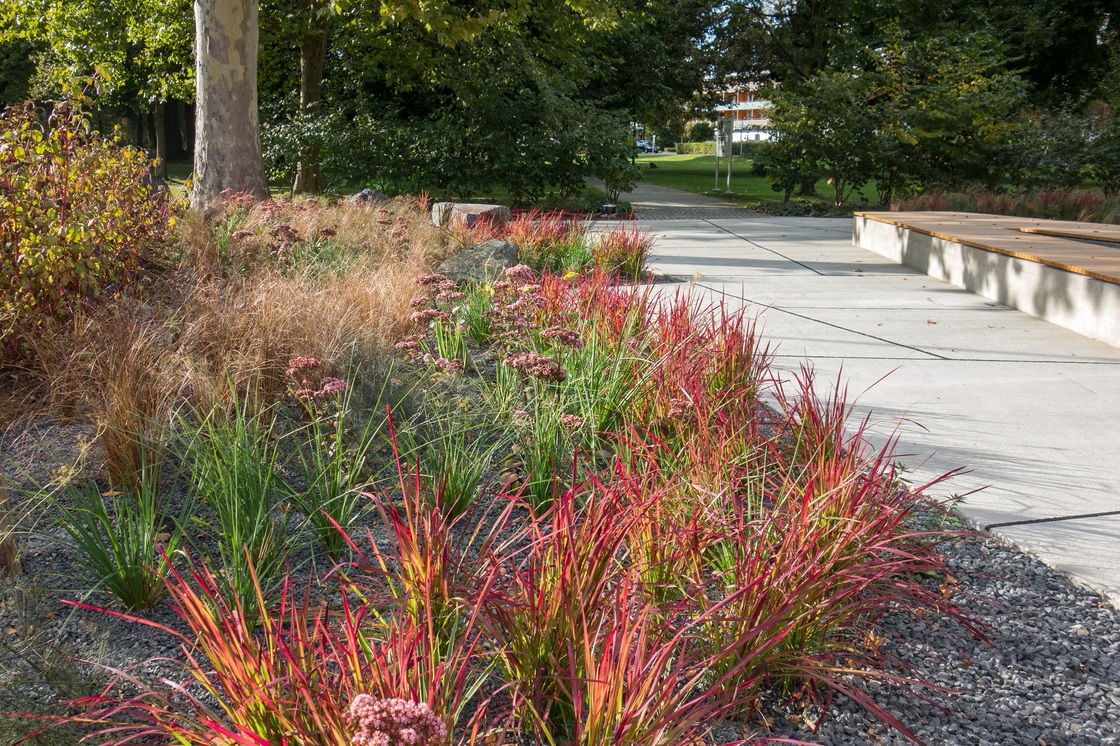 Ein Foto von Monsberger Gartenarchitektur