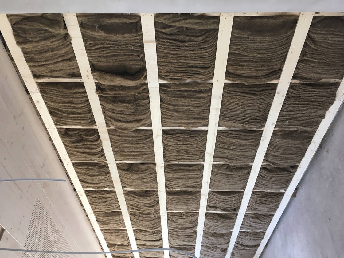 Ein Foto von DI Dr. Claudia Maria Walther