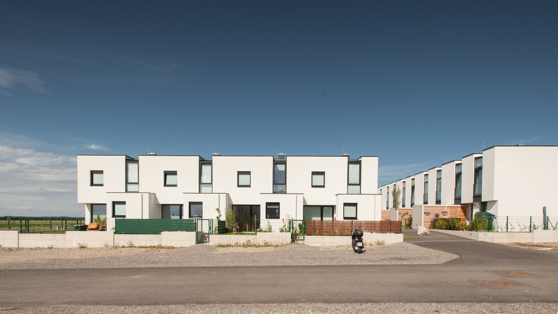 Ein Foto von Alexander Simon