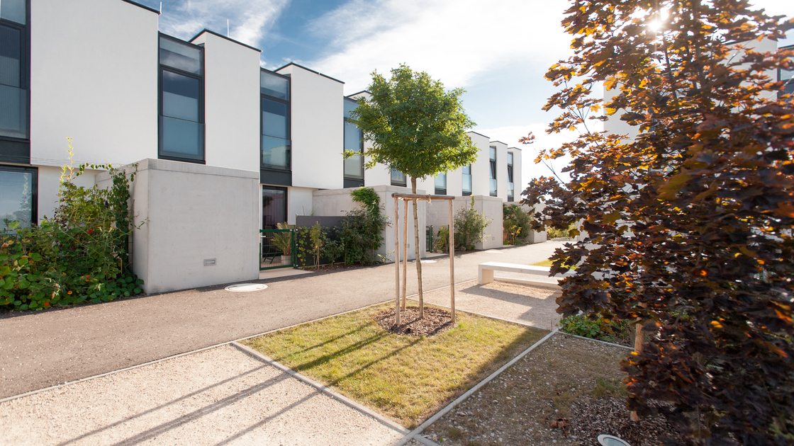 Ein Foto von Alexander Simon