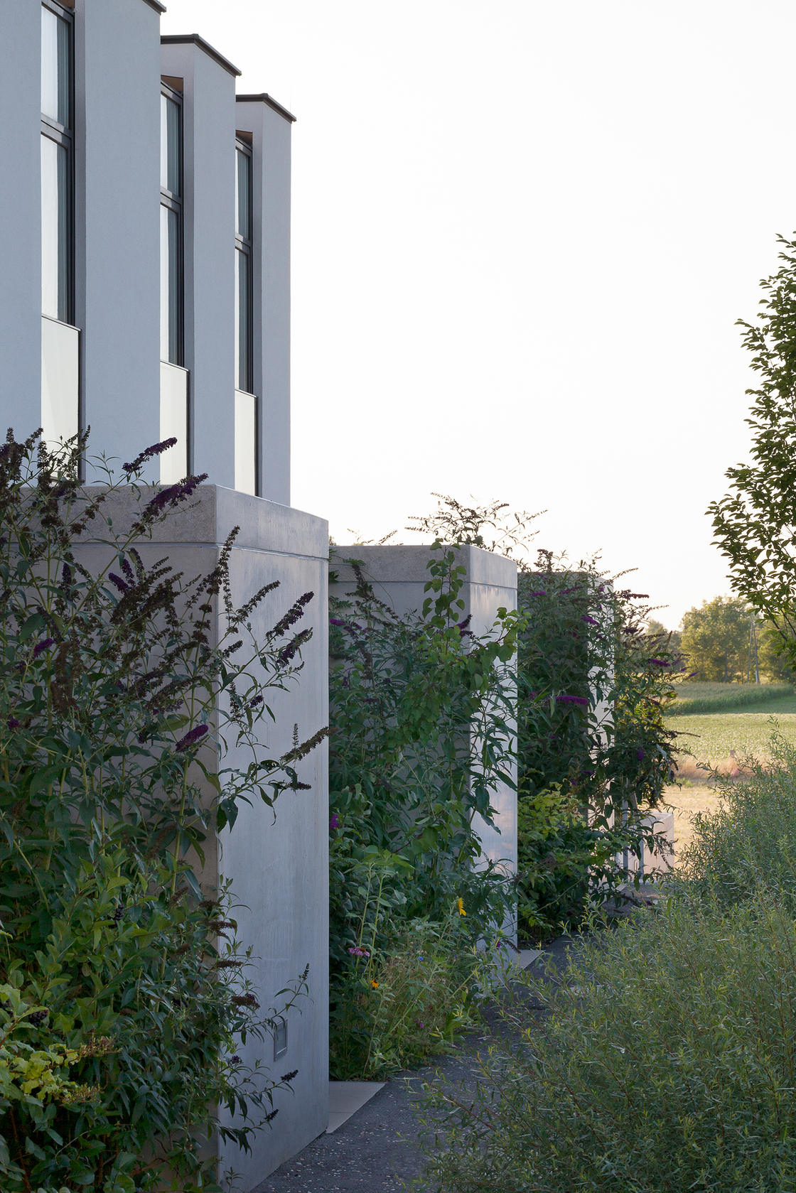 Ein Foto von citronenrot photography