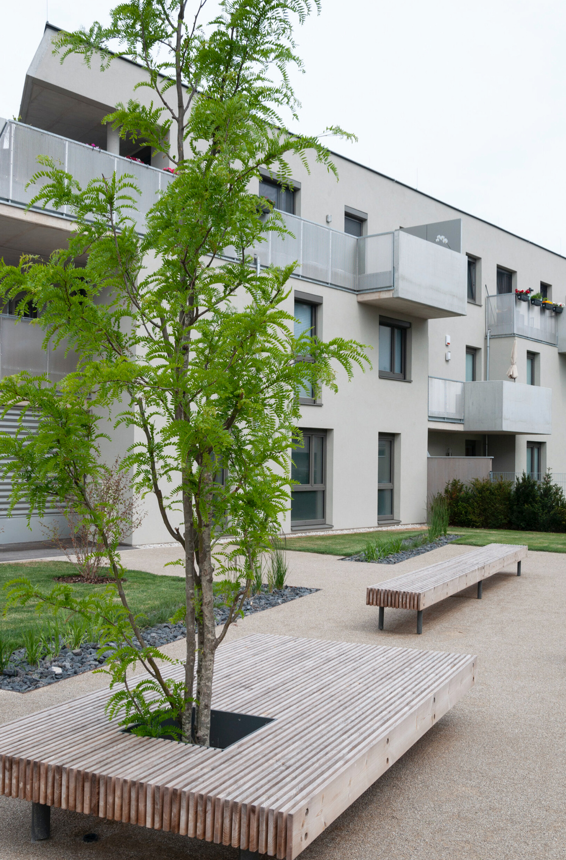 Ein Foto von Rainer Schoditsch