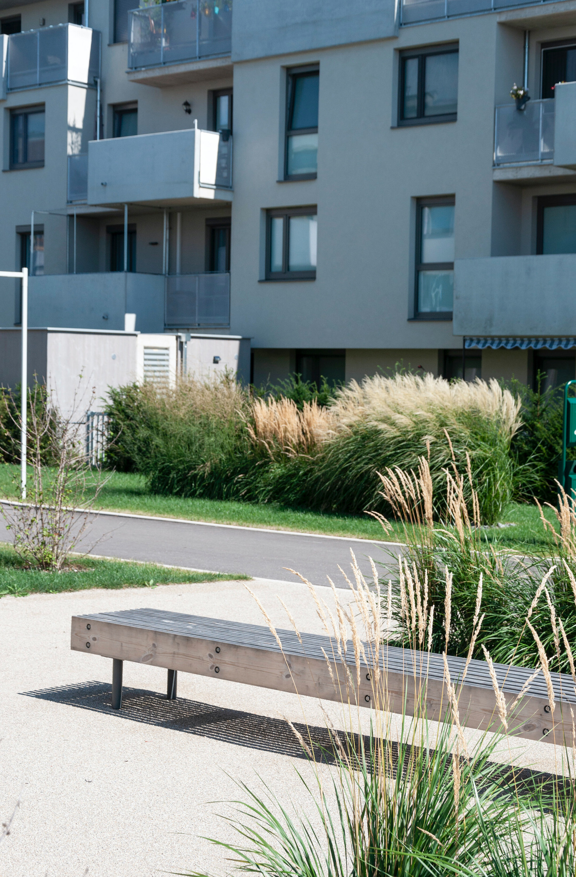 Ein Foto von Rainer Schoditsch