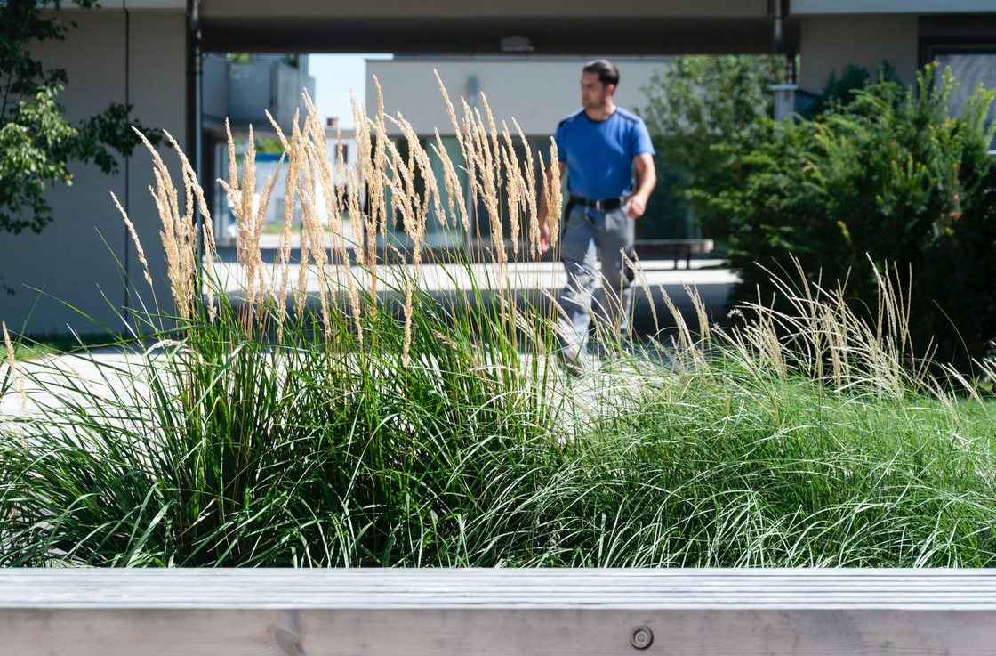 Ein Foto von Rainer Schoditsch