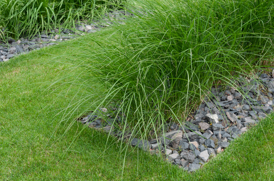 Ein Foto von Rainer Schoditsch