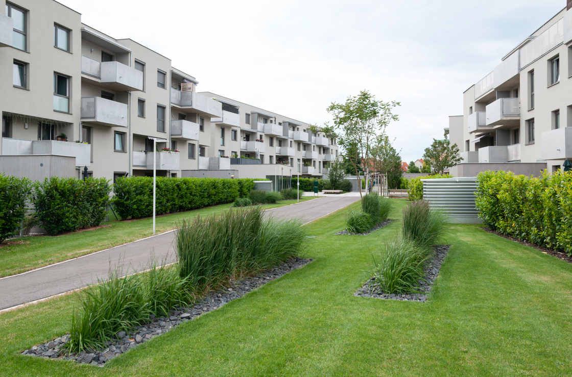 Ein Foto von Rainer Schoditsch