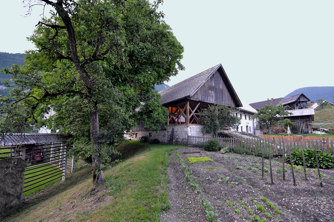 Ein Foto von Tomaž Gregorič