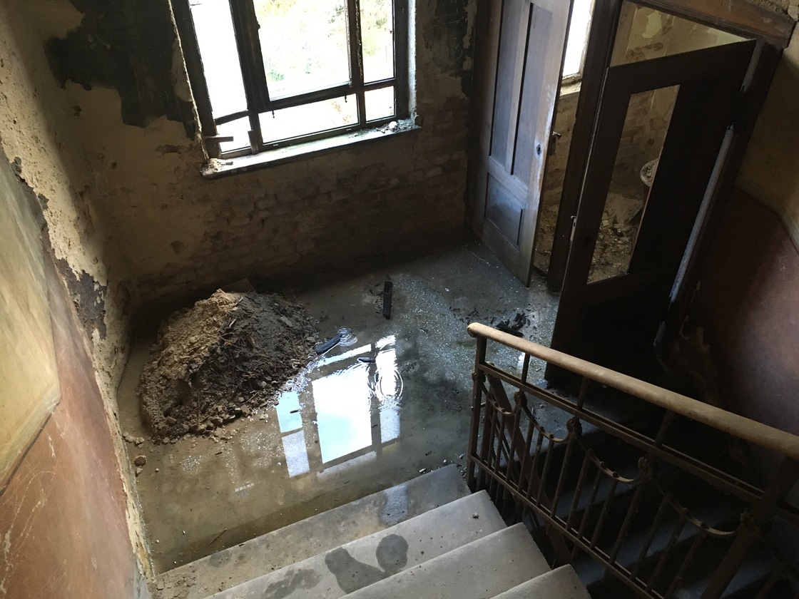 Ein Foto von bodensteiner fest