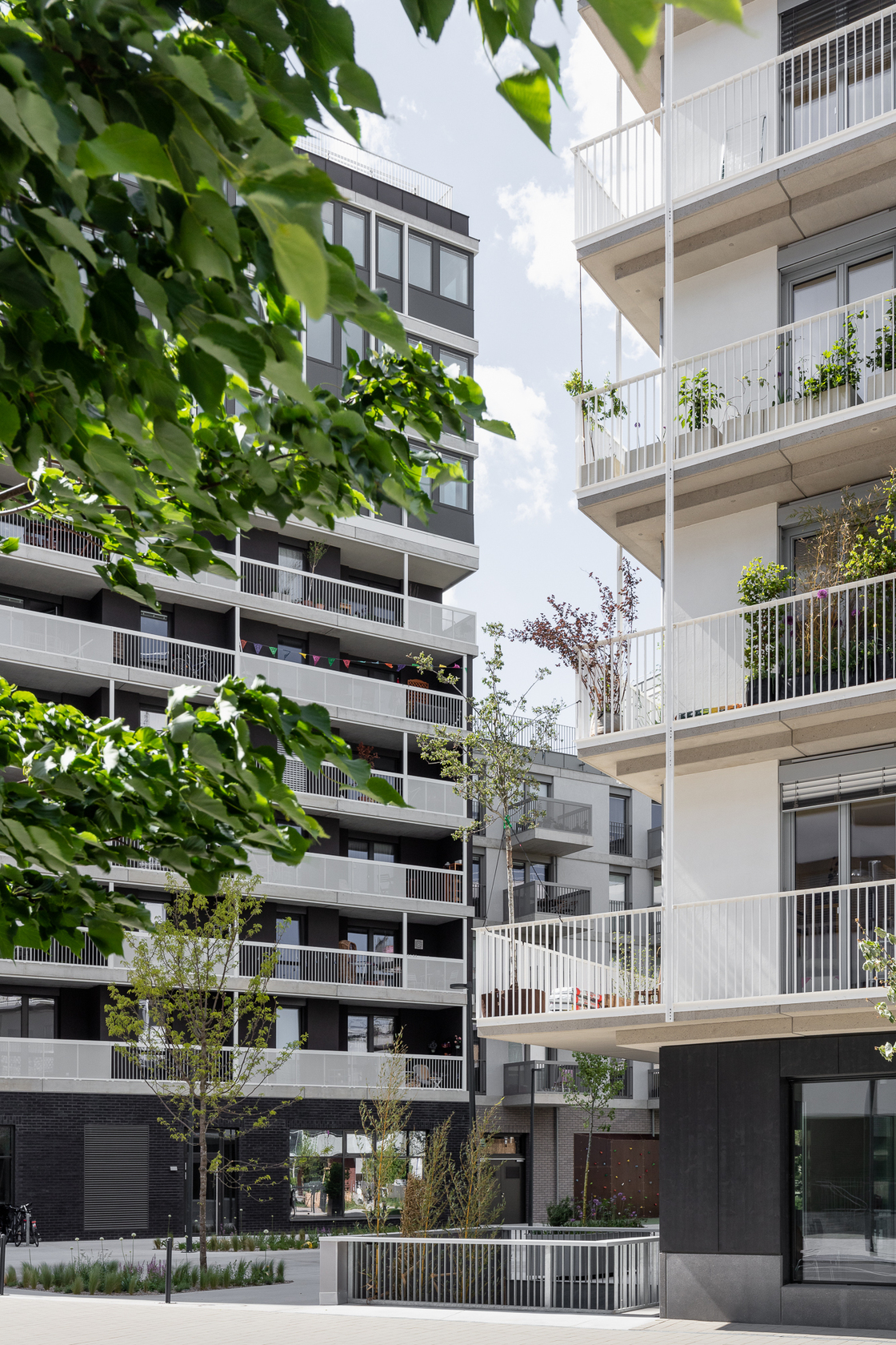 Ein Foto von tschinkersten