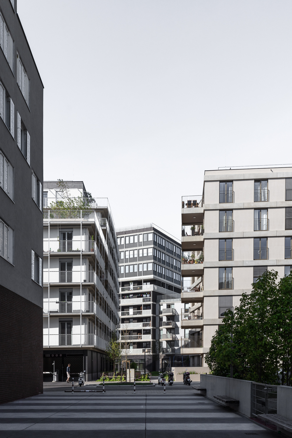 Ein Foto von tschinkersten