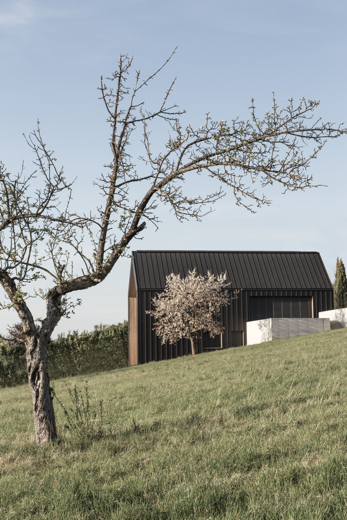 Ein Foto von STEINBAUER architektur+design