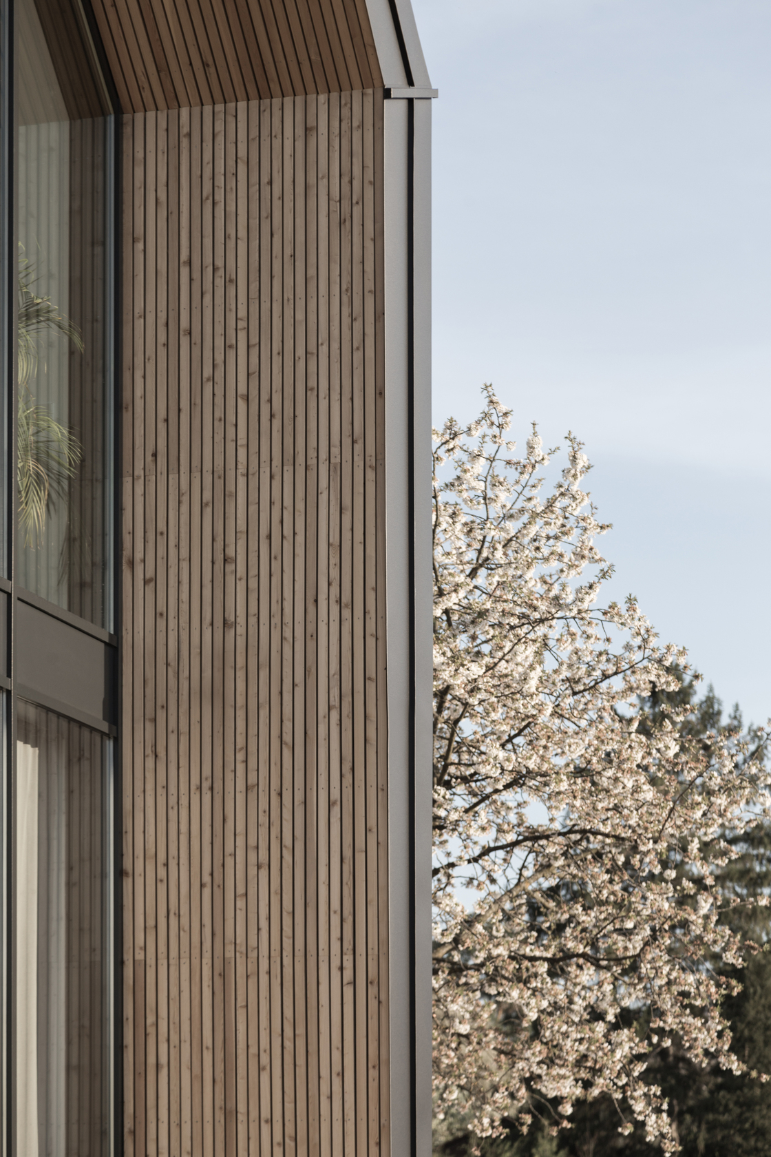 Ein Foto von STEINBAUER architektur+design