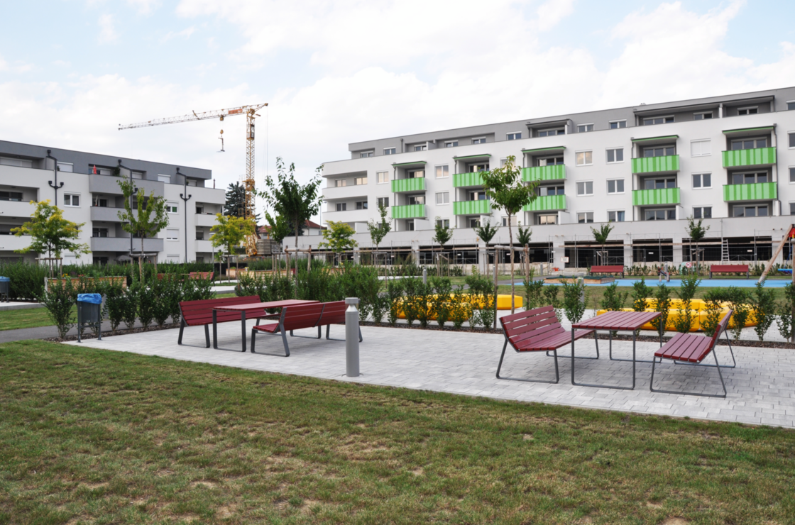 Ein Foto von Rainer Schoditsch