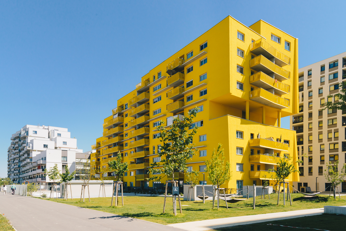 Ein Foto von Olena Newkryta