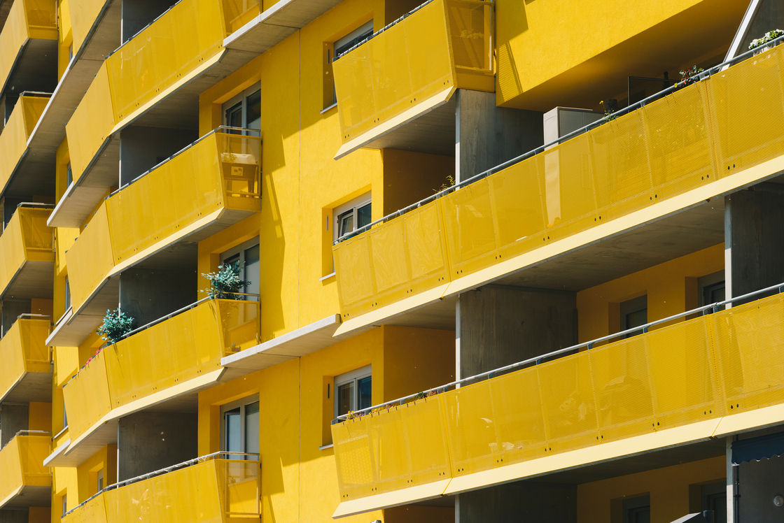 Ein Foto von Olena Newkryta