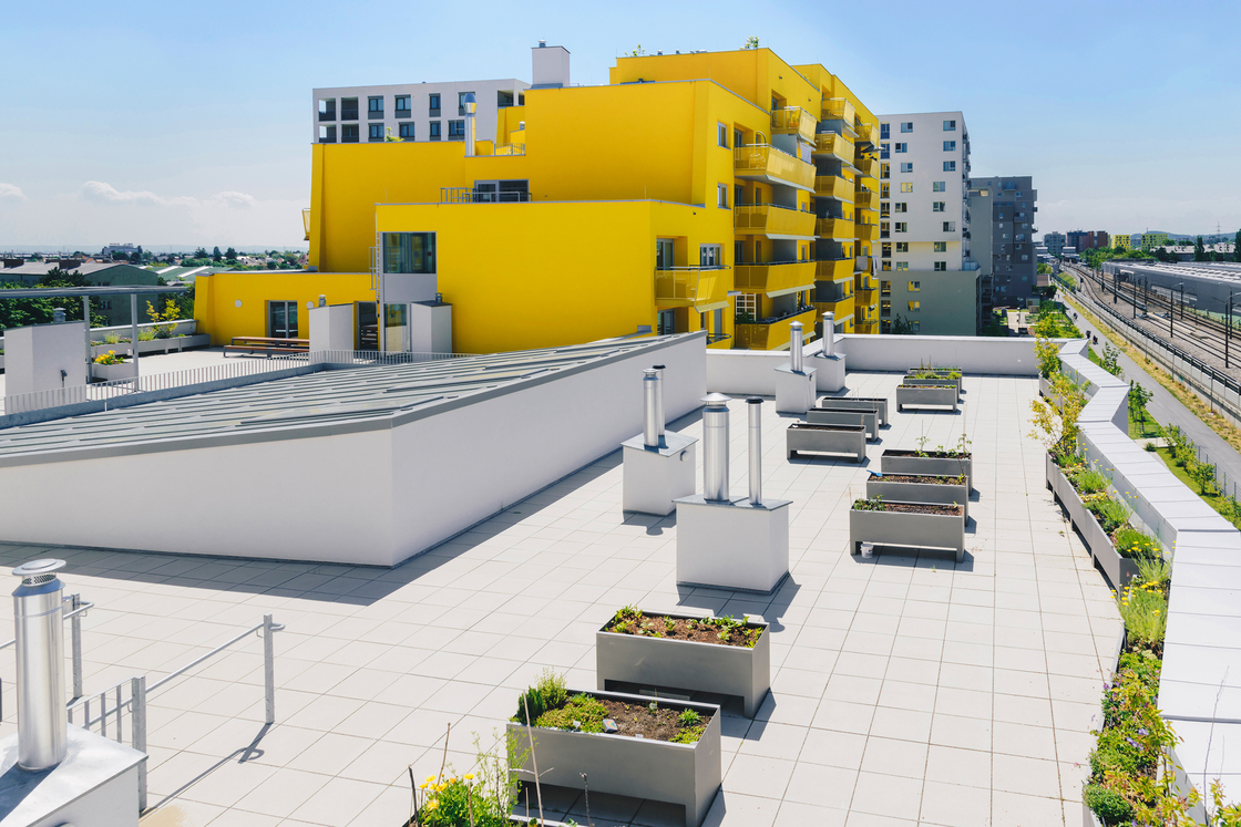 Ein Foto von Olena Newkryta