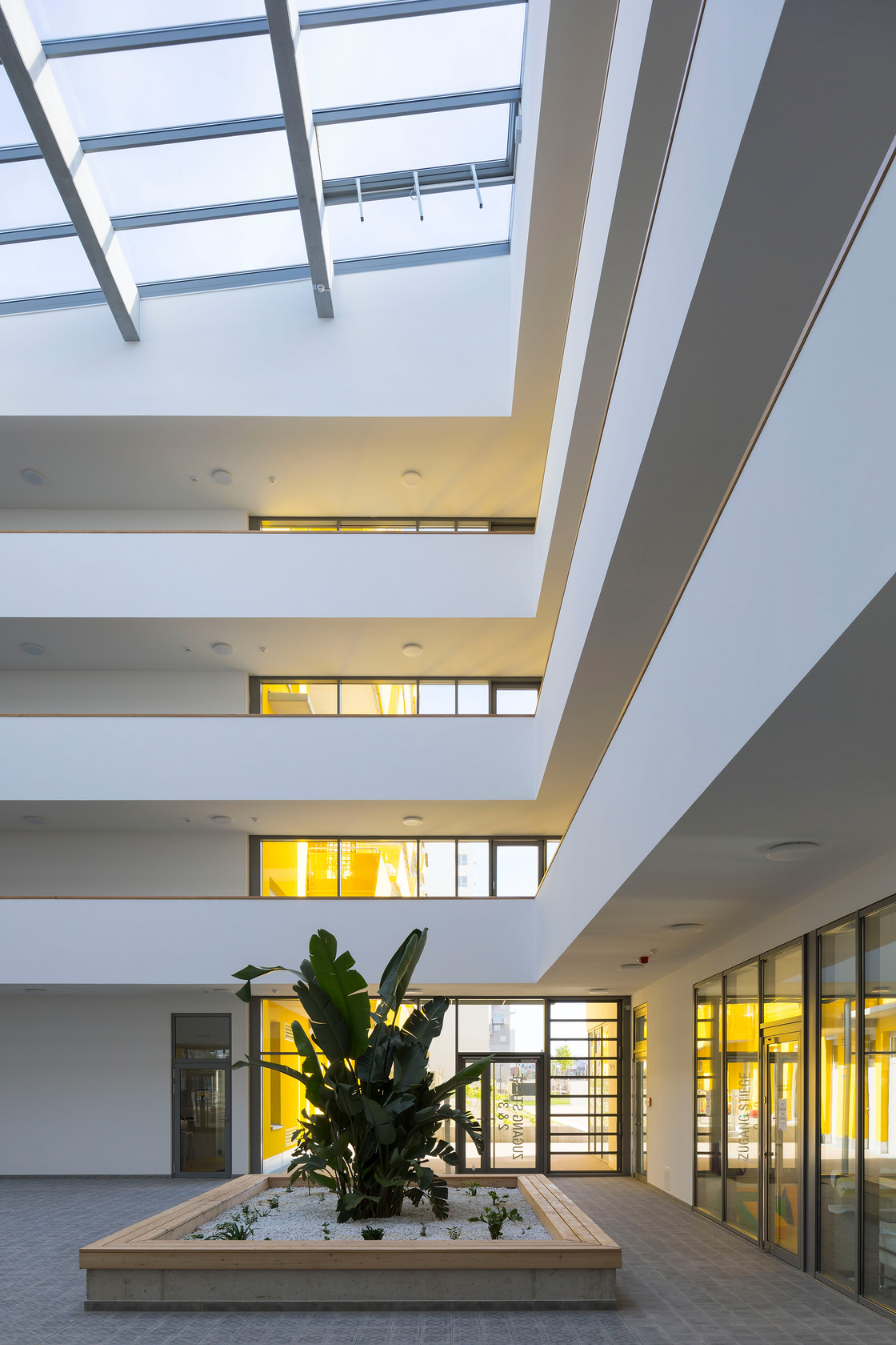 Ein Foto von Rupert Steiner