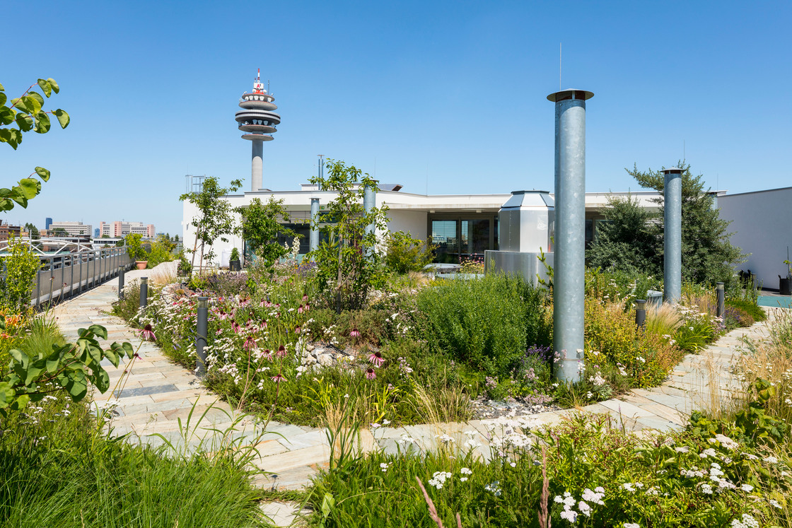 Ein Foto von Rupert Steiner