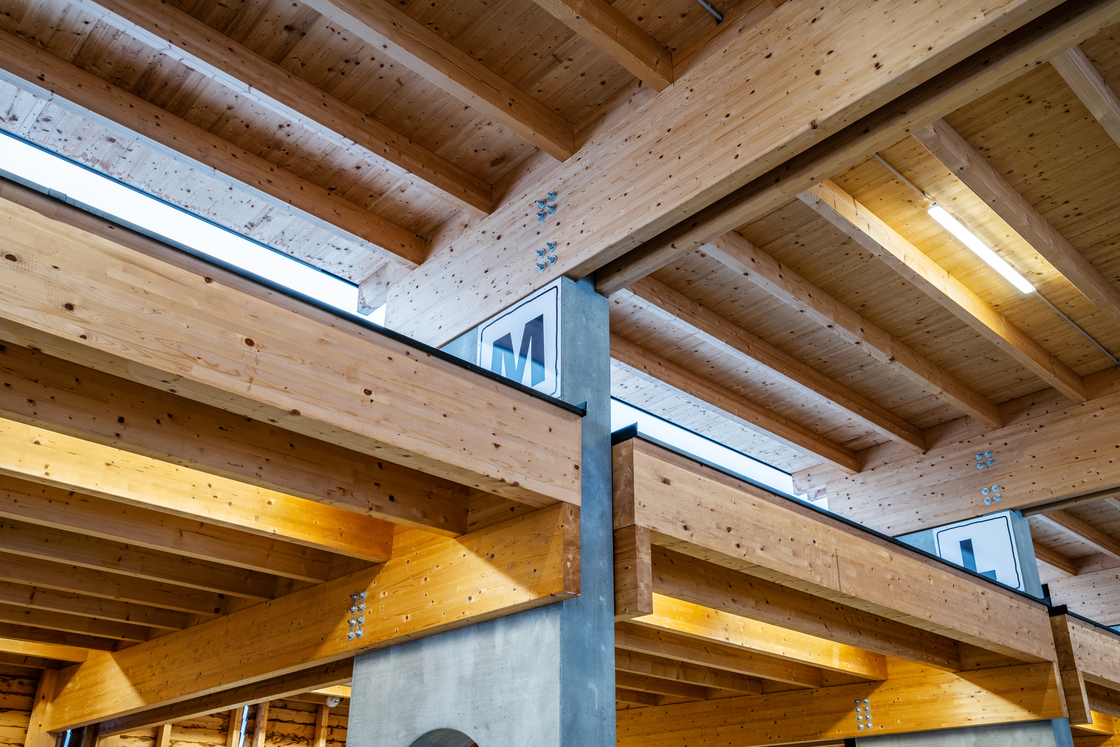 Ein Foto von Fotostudio Andreas Kraus