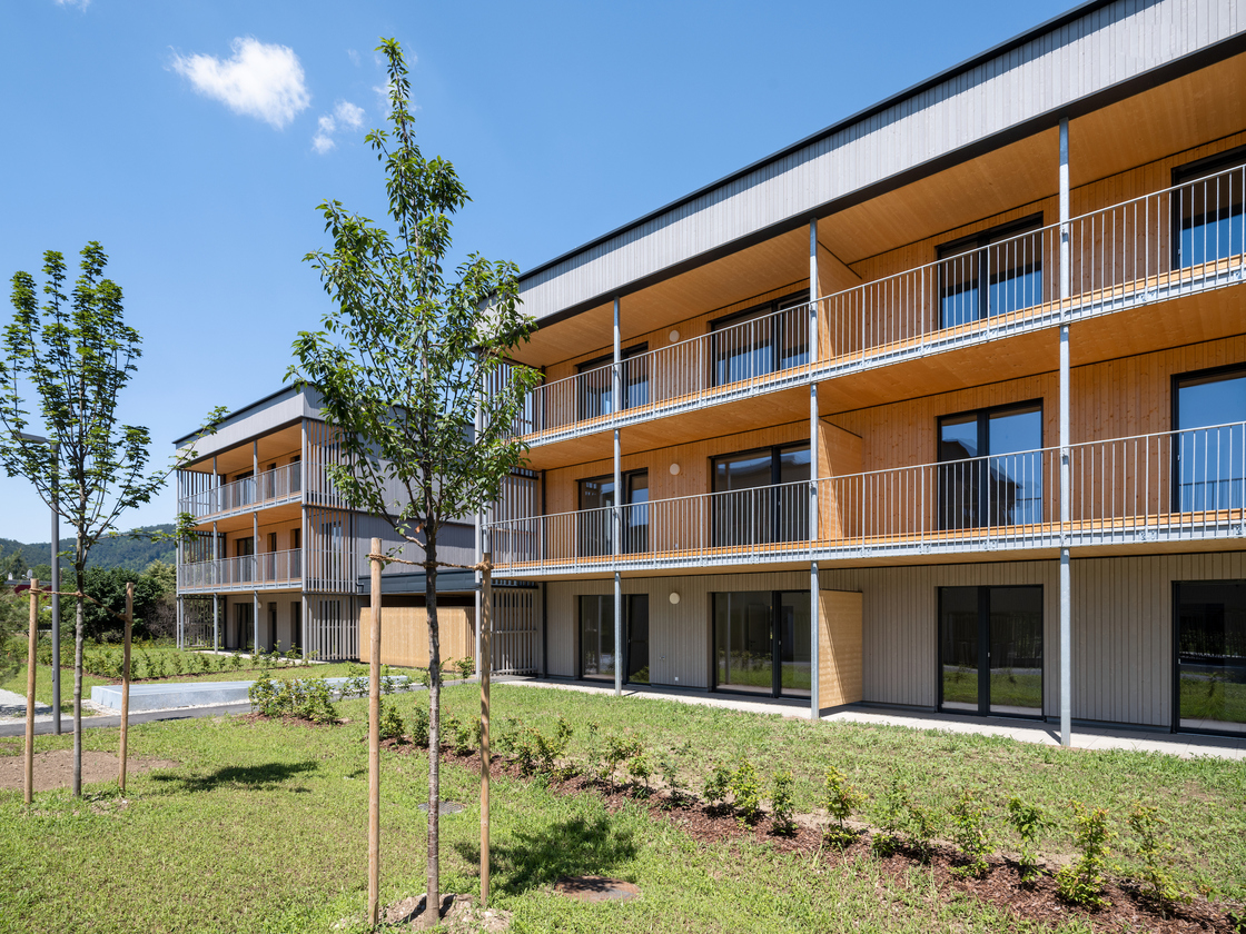 Ein Foto von pierer.net