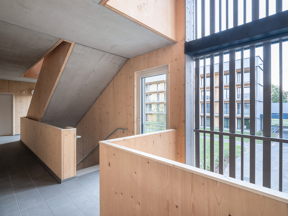 Ein Foto von pierer.net