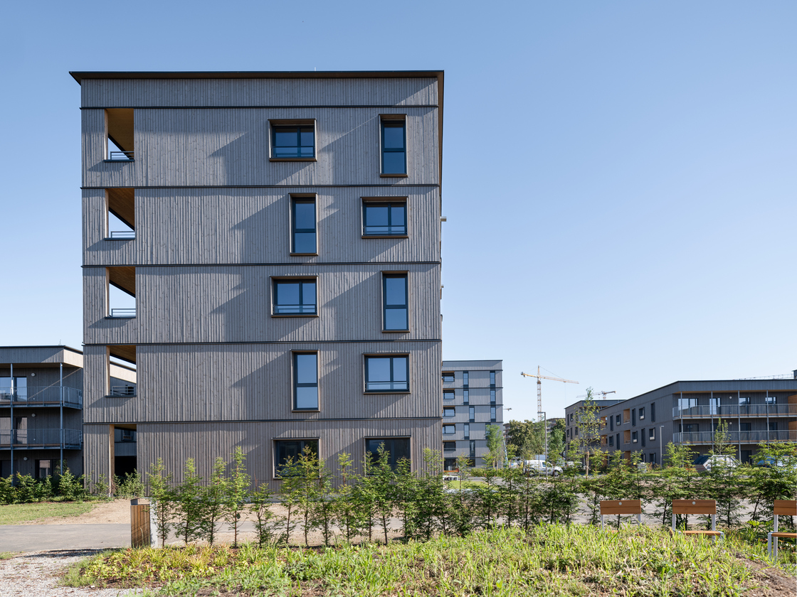 Ein Foto von pierer.net