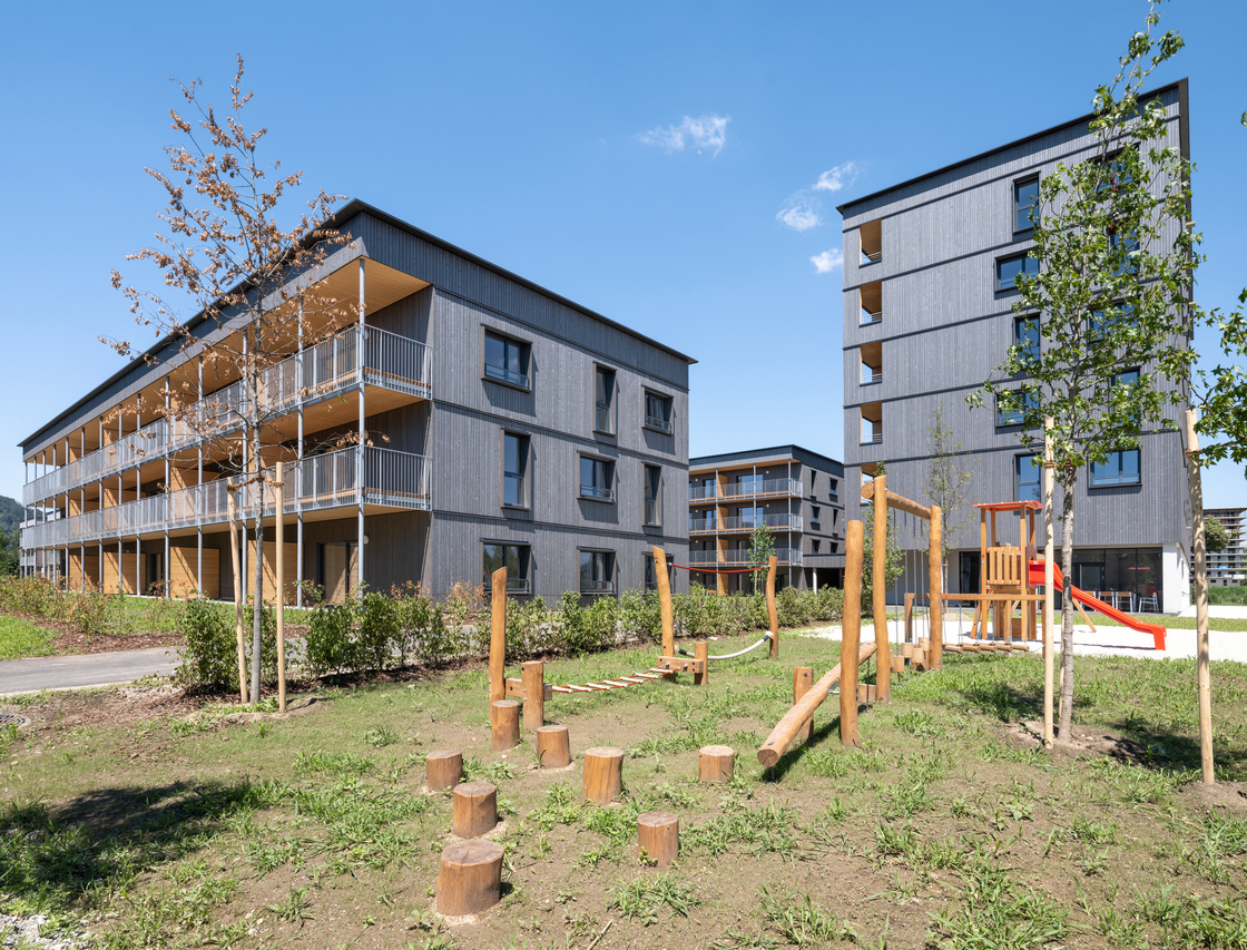 Ein Foto von pierer.net